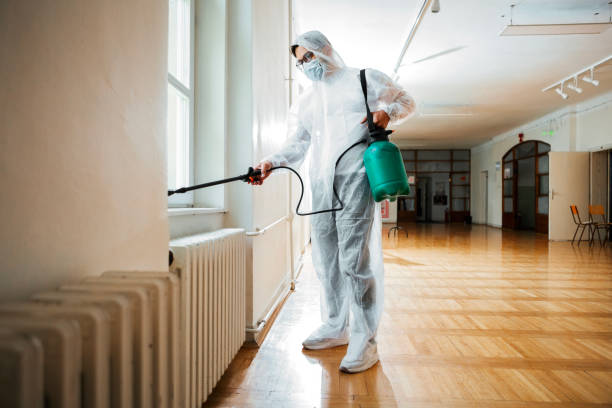 Best Affordable Pest Control Services  in Ele, AR